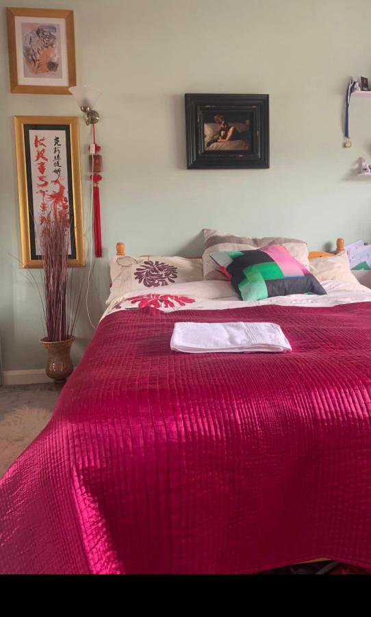 Cosy Room In London Wembley Exterior photo